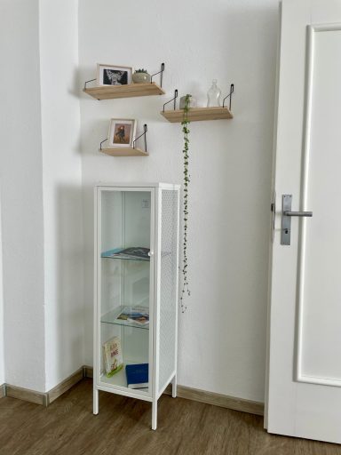 Bücherschrank offener Schrank im Wohnzimmer, weiß, Bücher, drei Regale, Pflanze, weiße Holztür